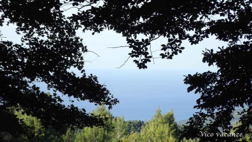 B&B Vico Vacanze Vico Del Gargano Εξωτερικό φωτογραφία