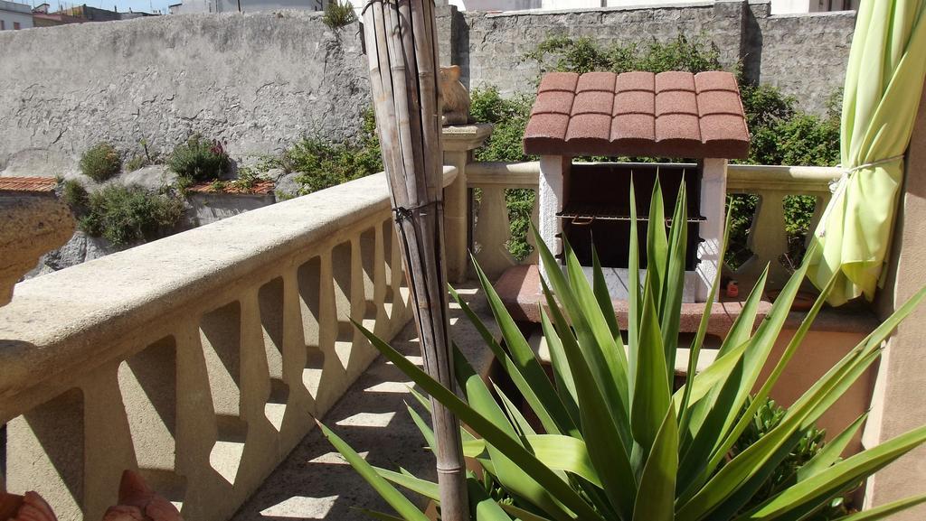 B&B Vico Vacanze Vico Del Gargano Εξωτερικό φωτογραφία