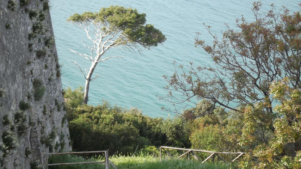 B&B Vico Vacanze Vico Del Gargano Εξωτερικό φωτογραφία