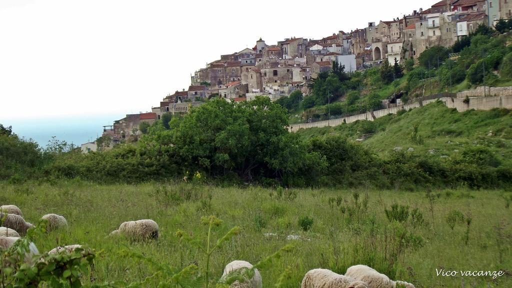B&B Vico Vacanze Vico Del Gargano Εξωτερικό φωτογραφία