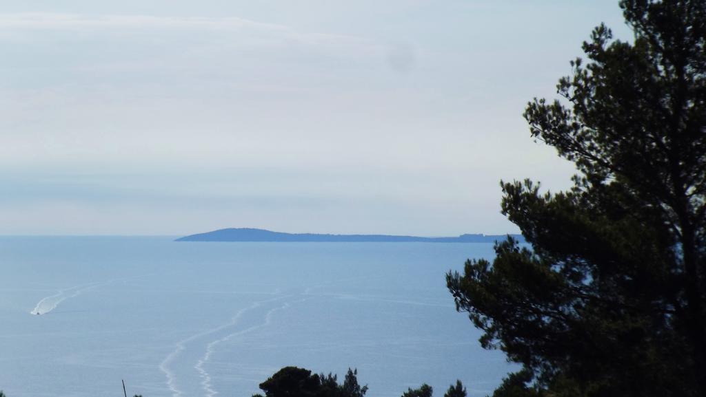 B&B Vico Vacanze Vico Del Gargano Εξωτερικό φωτογραφία