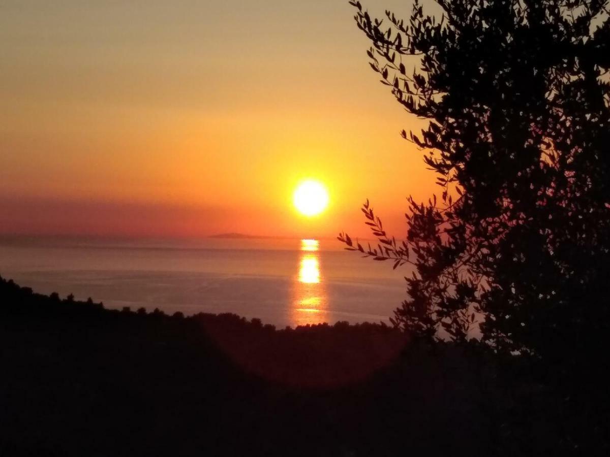B&B Vico Vacanze Vico Del Gargano Εξωτερικό φωτογραφία